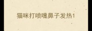 猫咪打喷嚏鼻子发热