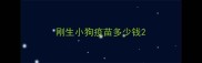 刚生小狗疫苗多少钱