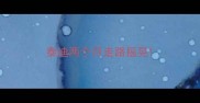 泰迪两个月走路摇晃