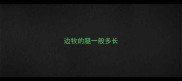 边牧的腿一般多长
