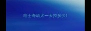 哈士奇幼犬一天拉多少