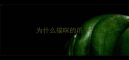 为什么猫咪的爪子