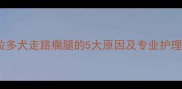 拉布拉多犬走路瘸腿的5大原因及专业护理指南