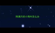 刚满月的小狗叫怎么办