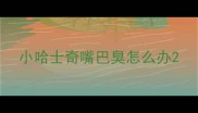小哈士奇嘴巴臭怎么办