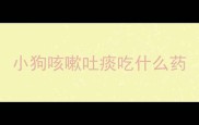 小狗咳嗽吐痰吃什么药