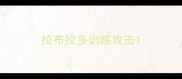 拉布拉多训练攻击