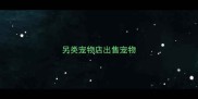 另类宠物店出售宠物