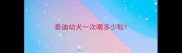 泰迪幼犬一次喂多少粒