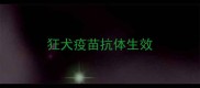 狂犬疫苗抗体生效