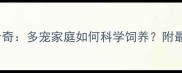 三金毛一哈士奇多宠家庭如何科学饲养附最新养宠指南