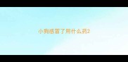 小狗感冒了用什么药