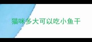 猫咪多大可以吃小鱼干