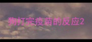 狗打完疫苗的反应