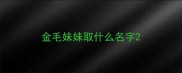 金毛妹妹取什么名字