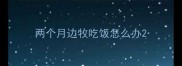 两个月边牧吃饭怎么办