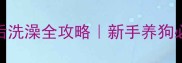 幼犬疫苗后洗澡全攻略新手养狗必看护理指南