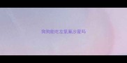 狗狗能吃左氧氟沙星吗