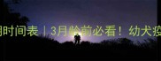 狗狗免疫期时间表3月龄前必看幼犬疫苗全攻略