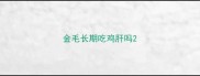 金毛长期吃鸡肝吗