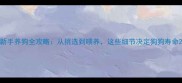 新手养狗全攻略从挑选到喂养这些细节决定狗狗寿命