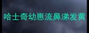 哈士奇幼崽流鼻涕发黄