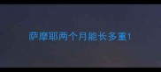 萨摩耶两个月能长多重