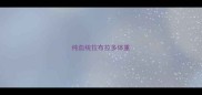 纯血统拉布拉多体重