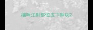 猫咪注射部位皮下肿块