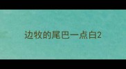 边牧的尾巴一点白