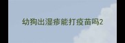 幼狗出湿疹能打疫苗吗