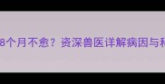 猫咪持续腹泻8个月不愈资深兽医详解病因与科学治疗方案