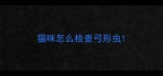 猫咪怎么检查弓形虫