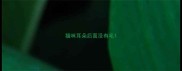 猫咪耳朵后面没有毛