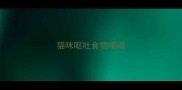 猫咪呕吐食物嗜睡