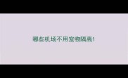 哪些机场不用宠物隔离