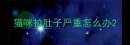 猫咪拉肚子严重怎么办