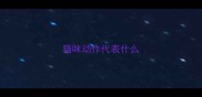 猫咪动作代表什么