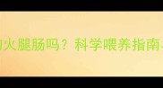 猫咪能吃宠物火腿肠吗科学喂养指南与风险提示全