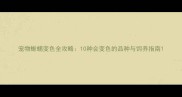 宠物蜥蜴变色全攻略10种会变色的品种与饲养指南