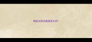 狗多大狂犬疫苗多久打