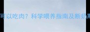 泰迪犬多大可以吃肉科学喂养指南及断奶期饮食禁忌