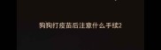 狗狗打疫苗后注意什么手续