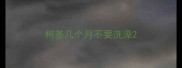 柯基几个月不要洗澡