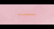 有什么玩具猫咪爱玩