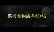 嘉兴宠物店有那些