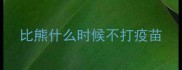 比熊什么时候不打疫苗