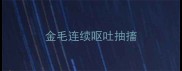金毛连续呕吐抽搐