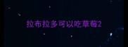 拉布拉多可以吃草莓