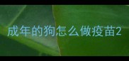 成年的狗怎么做疫苗